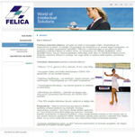 Разработка сайта для SIA FELICA